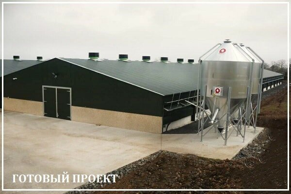Этапы возведения птицефабрики от завода ВелесТент-тнд